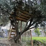 Maison Du Olival Holiday home