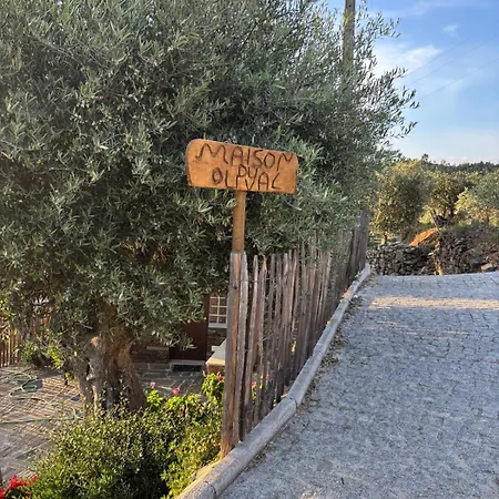 Maison Du Olival Vacalar