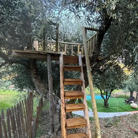 Сasa de vacaciones Maison Du Olival