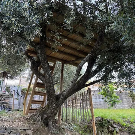 Maison Du Olival Сasa de vacaciones