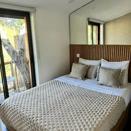 Maison Du Olival Vacalar