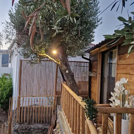 Maison Du Olival * Vacalar