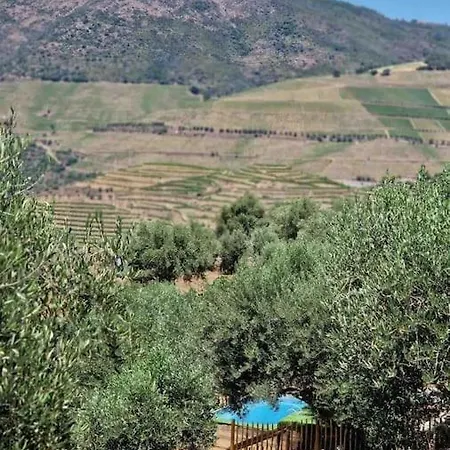 Maison Du Olival Vacalar