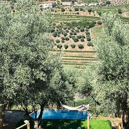 Maison Du Olival Vacalar