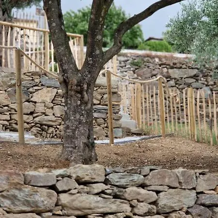 Maison Du Olival Holiday home Vacalar