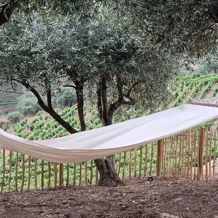 Maison Du Olival * Vacalar