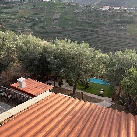 Maison Du Olival Holiday home *