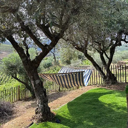 Holiday home Maison Du Olival *