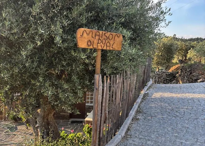 Maison Du Olival Vacalar