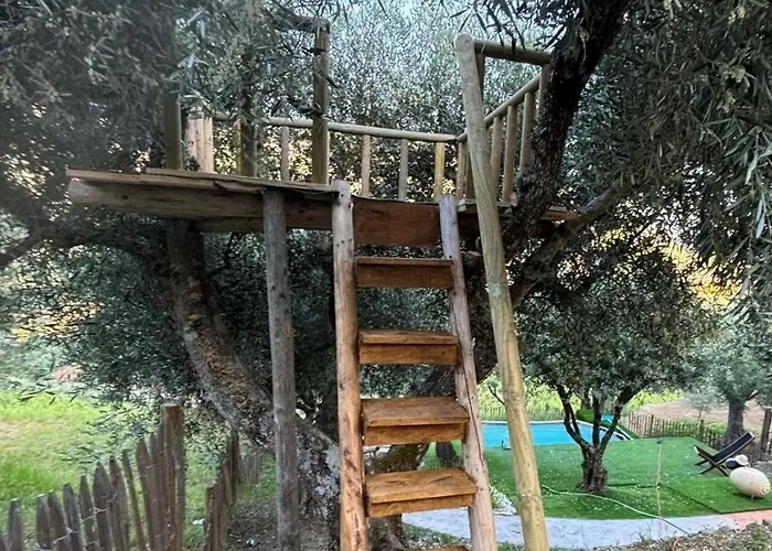 Prázdninový dům Maison Du Olival