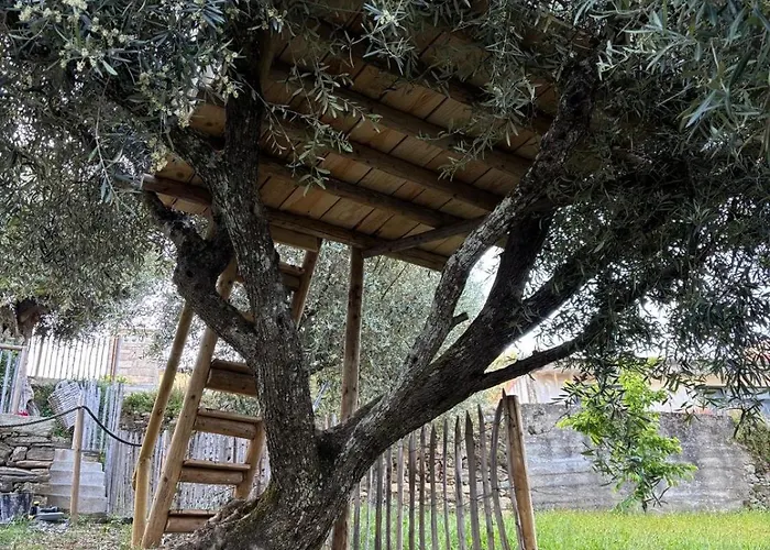 Maison Du Olival Ferienhaus