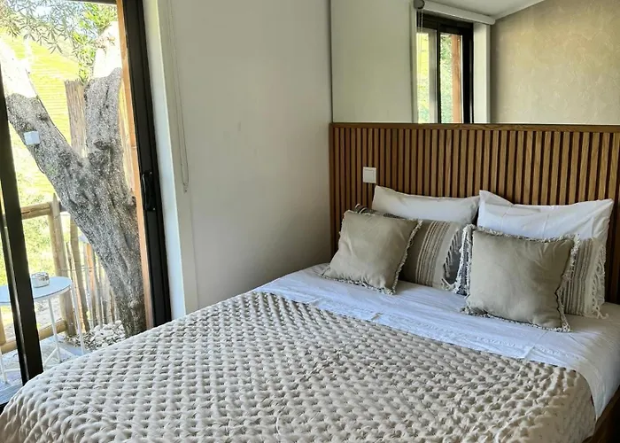 Maison Du Olival Vacalar