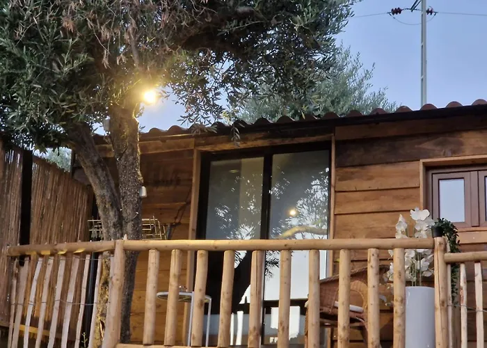 Vakantiehuis Maison Du Olival