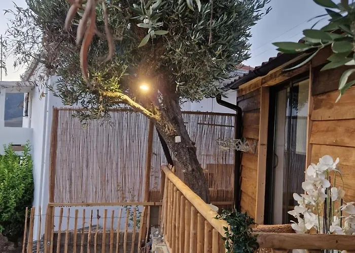 Maison Du Olival * Vacalar