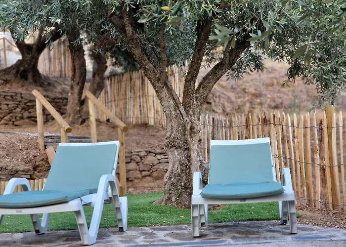 Vakantiehuis Maison Du Olival *