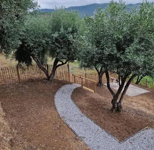 Maison Du Olival Vacalar