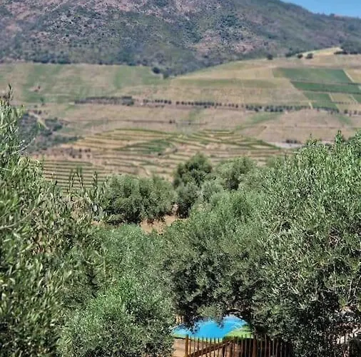 Maison Du Olival Vacalar