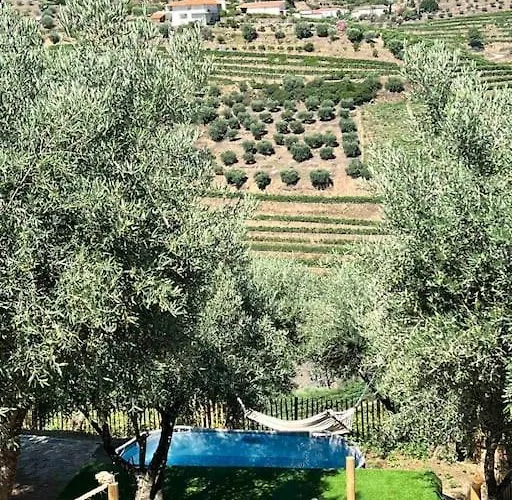 Maison Du Olival Vacalar