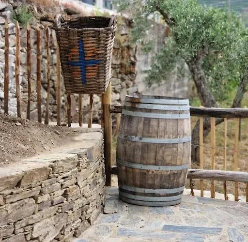 Maison Du Olival * Vacalar