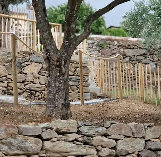 Maison Du Olival Vakantiehuis Vacalar