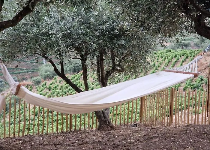 Maison Du Olival * Vacalar